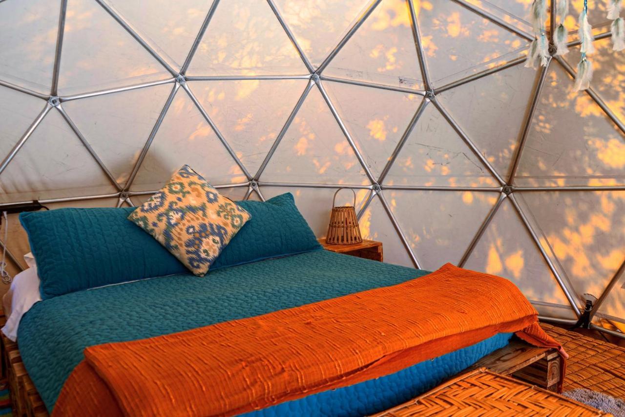 Alma De Campo Glamping - Laguna De Suesca Extérieur photo